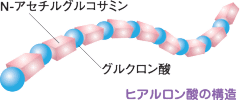 なまずえ鍼灸整骨院