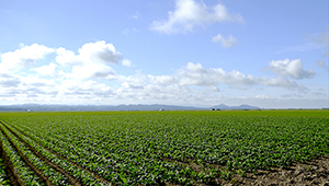 農・動物薬のご案内