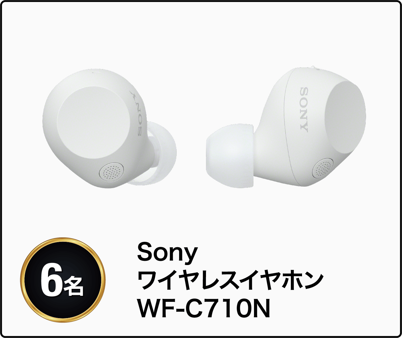 Sony ワイヤレスイヤホン WF-C710N 6名