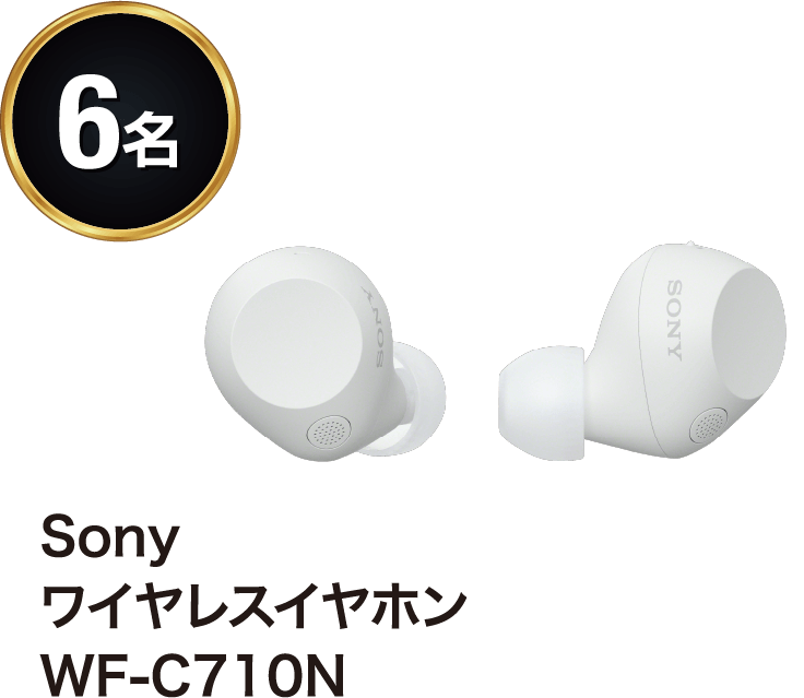 Sony ワイヤレスイヤホン WF-C710N 6名