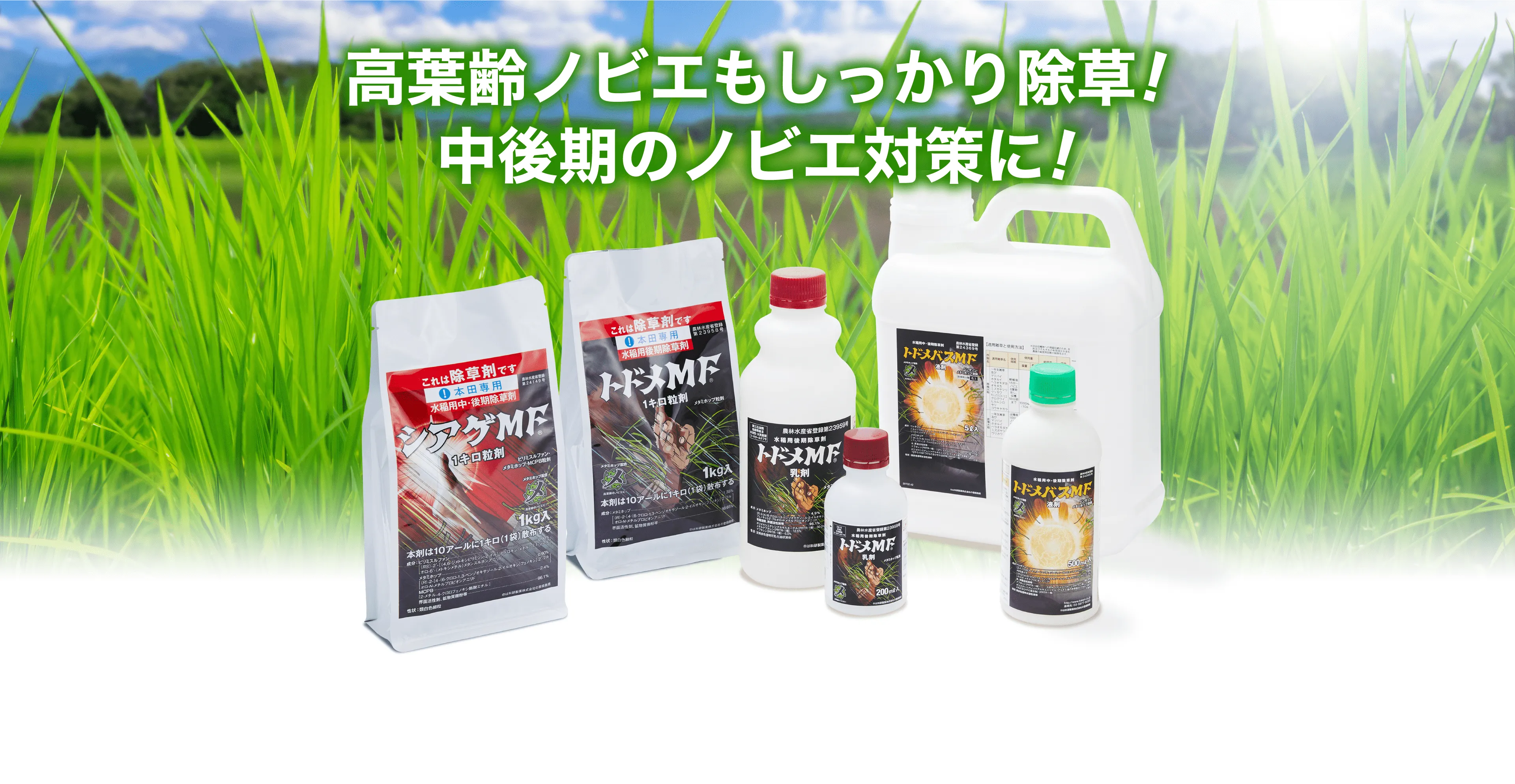 高葉齢ノビエもしっかり除草!中後期のノビエ対策に!