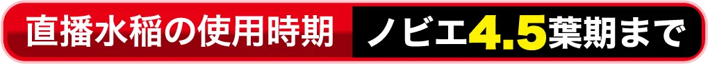 直播水稲の使用時期 ノビエ4.5葉期まで