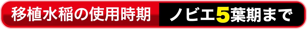 移植水稲の使用時期 ノビエ5葉期まで