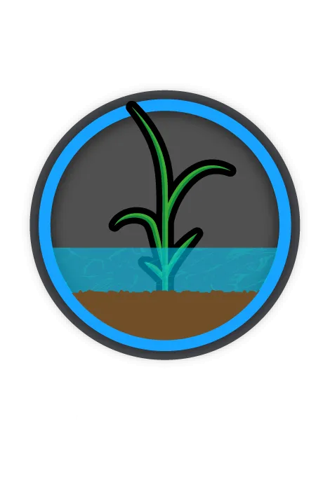 湛水散布